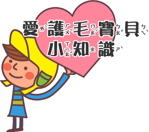 愛護毛寶貝小知識